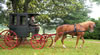 Carriage Driver